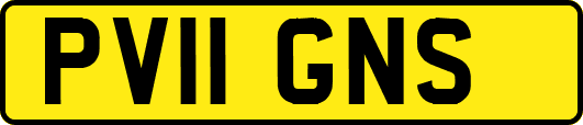 PV11GNS