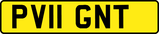PV11GNT