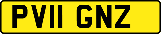 PV11GNZ