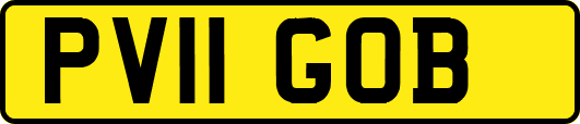 PV11GOB