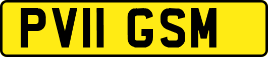 PV11GSM