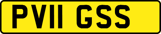PV11GSS