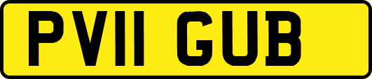 PV11GUB