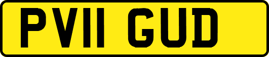 PV11GUD