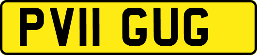 PV11GUG