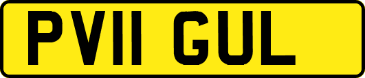 PV11GUL