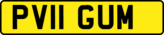 PV11GUM