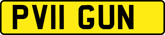 PV11GUN