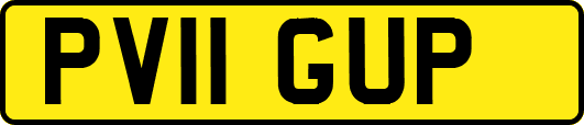 PV11GUP