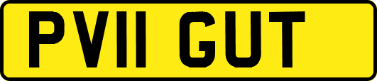 PV11GUT