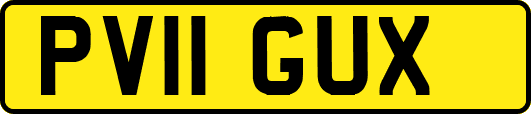 PV11GUX