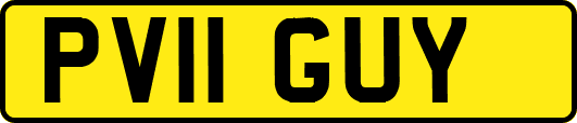 PV11GUY