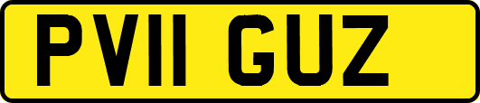 PV11GUZ