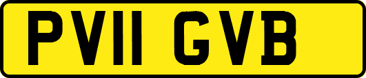 PV11GVB