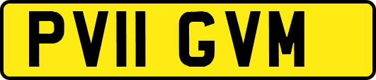 PV11GVM