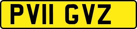 PV11GVZ