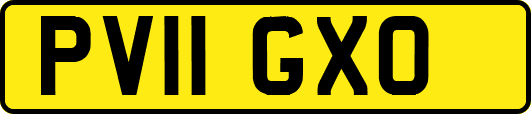 PV11GXO
