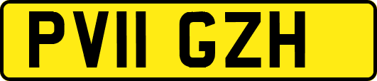 PV11GZH
