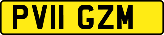 PV11GZM