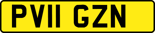 PV11GZN