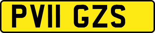 PV11GZS