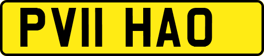 PV11HAO