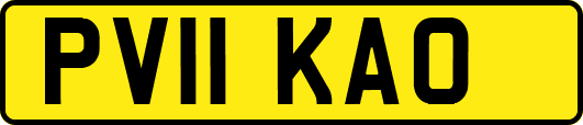 PV11KAO