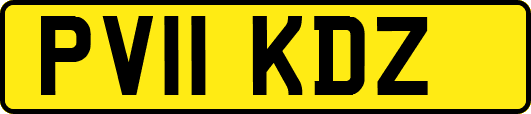 PV11KDZ