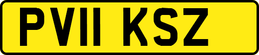 PV11KSZ