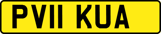 PV11KUA