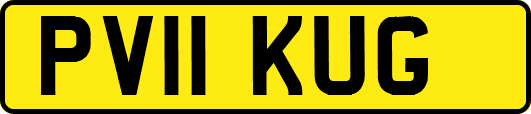 PV11KUG