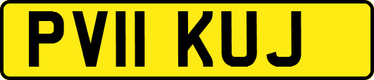 PV11KUJ