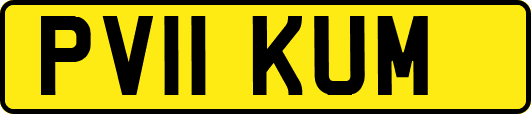 PV11KUM