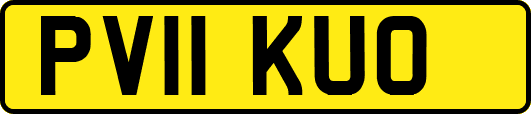 PV11KUO