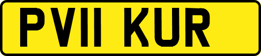 PV11KUR