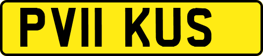 PV11KUS