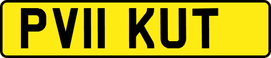 PV11KUT