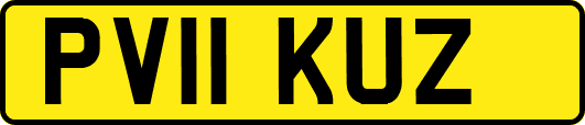 PV11KUZ