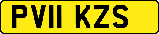 PV11KZS