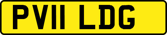 PV11LDG