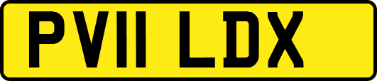 PV11LDX
