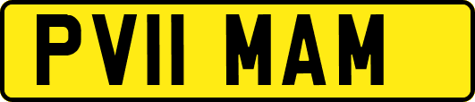 PV11MAM