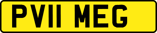 PV11MEG