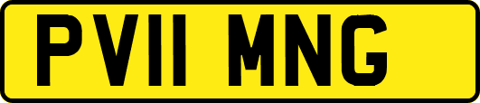 PV11MNG
