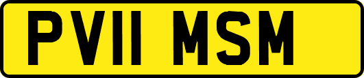 PV11MSM