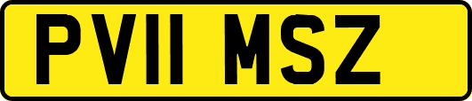 PV11MSZ