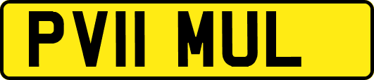 PV11MUL