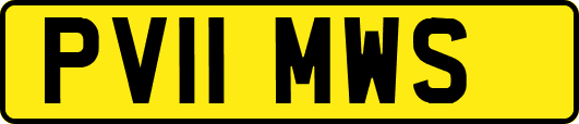 PV11MWS
