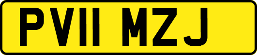 PV11MZJ
