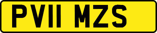 PV11MZS